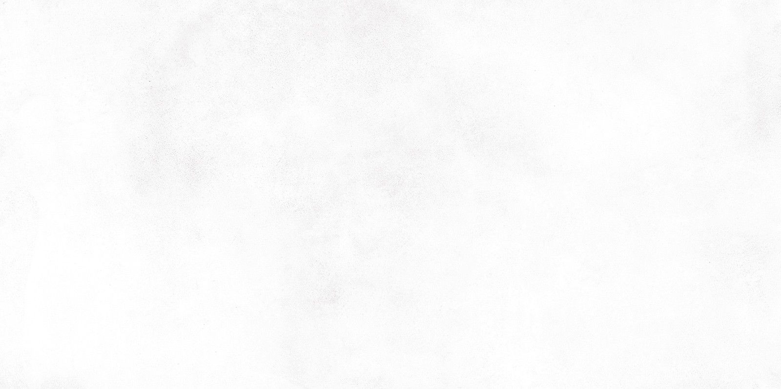 New-Trend Konor White WT9KON00 Плитка настенная 249*500*7,5 (12 шт в уп/80.676 м в пал)